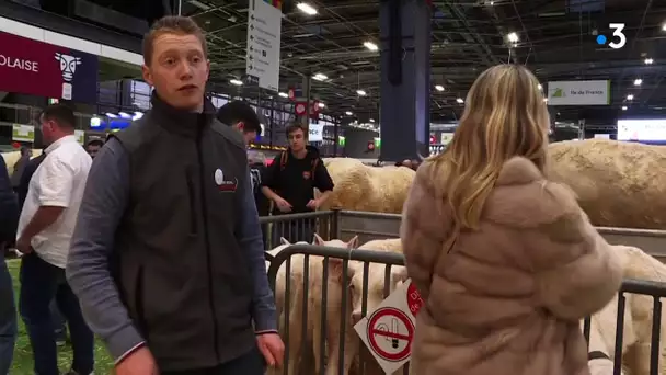 Salon de l'agriculture 2020 : une journée avec Célestin, soigneur du Herd Book Charolais