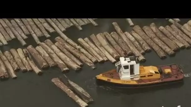 Gabon : flottage du bois près de Libreville