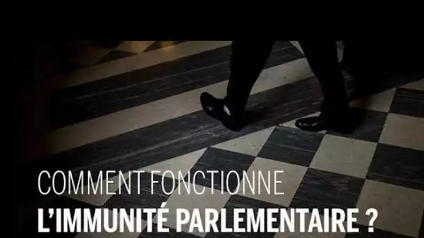 Comment fonctionne l'immunité parlementaire ?