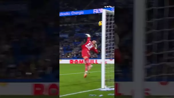 DIMITROVIC takes flight✈️😯