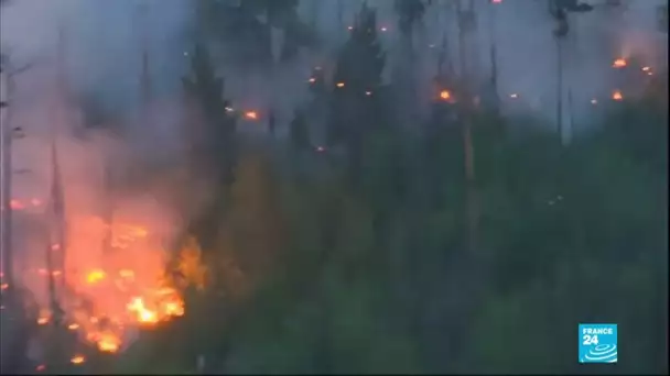 Canicule en Russie : vague de chaleur et feux de forêt en Sibérie