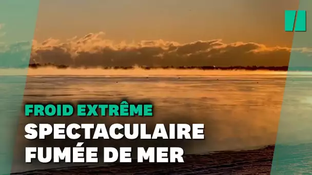 Froid extrême aux États-Unis : les spectaculaire images de "fumée de mer"