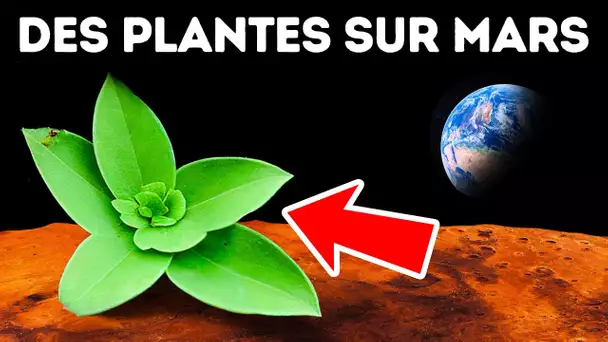 Que Faudrait-Il Faire Pour Que Mars Ressemble À La Terre ?