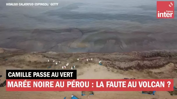 Marée noire au Pérou : la faute au volcan des Tonga, vraiment ?