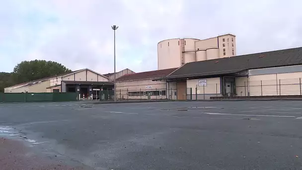 VIDEO: plan de fermeture de l'usine Saint Louis Sucre à Nassandres