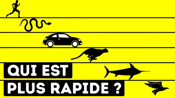 Qui Est L'être Vivant Le Plus Rapide Au Monde