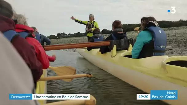 Une semaine en Baie de Somme, épisode 3