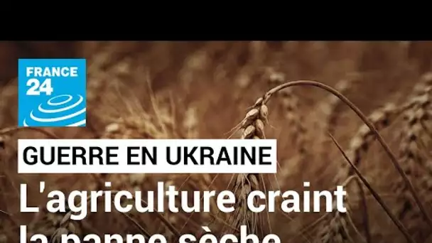 Victime de la guerre, l'agriculture ukrainienne craint la panne sèche • FRANCE 24
