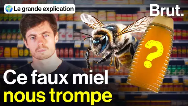 Pourquoi ces "miels" indignent les apiculteurs français