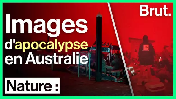 Incendies en Australie : images d’apocalypse à Mallacoota