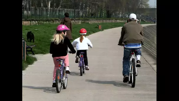Loi mobilité : "Le vélo est un mode de transport comme les autres"