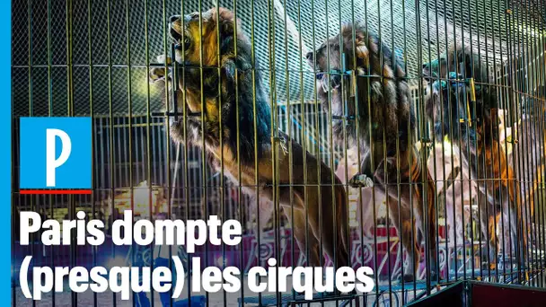 Cirques à Paris : vraiment la fin des animaux sauvages ?