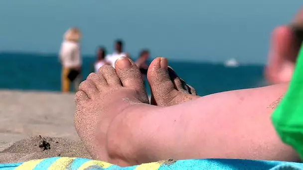 La Grande-Motte (Hérault) : 3 heures de bronzage autorisées sur la seule plage "statique" de France