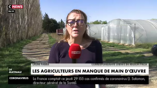 Les agriculteurs en manque de main d'oeuvre