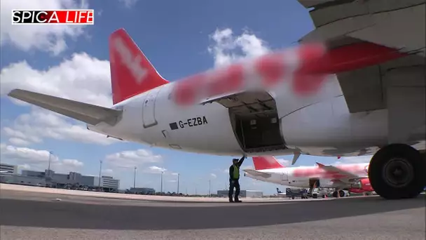 Vols dans les aéroports : enquête au cœur du crime