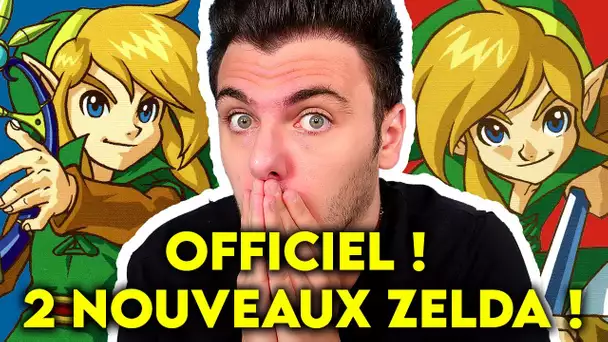 OFFICIEL ! 2 Nouveaux Zelda sur Nintendo SWITCH ! 😱💥