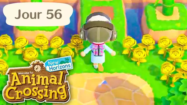 Jour 56 | Masse Roses d'Or ! | Animal Crossing : New Horizons