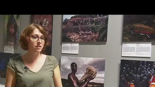 Rouen : les plus belles photos de nature du monde au muséum