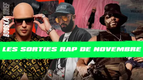 Les sorties d'albums RAP du mois de Novembre !