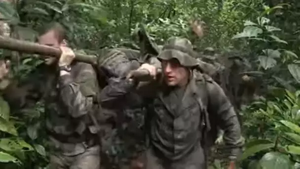 Ils lancent l'assaut dans la jungle !