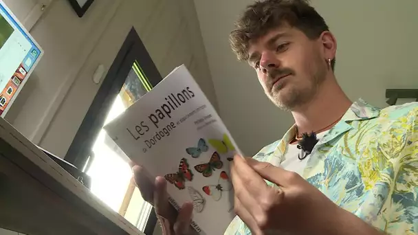Livre : les papillons de Philippe Vincenot