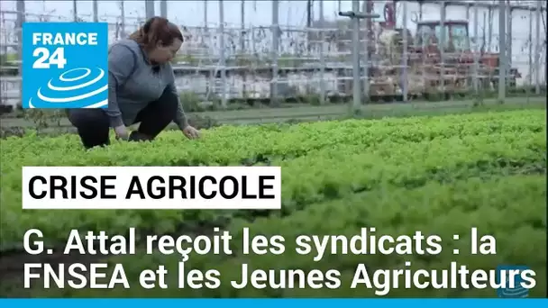 Crise agricole en France : la FNSEA s'impatiente • FRANCE 24