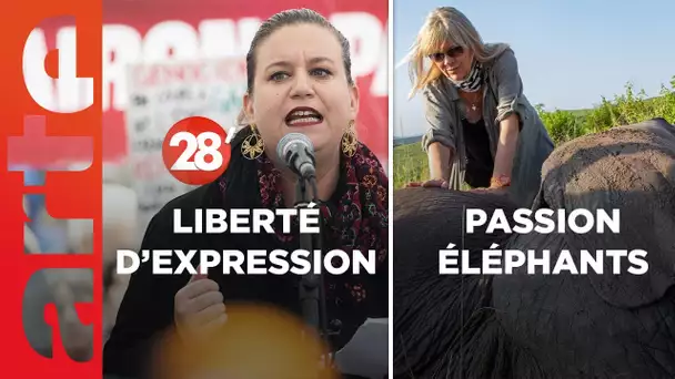 Une vie au milieu des éléphants / La liberté d’expression est-elle menacée ? - 28 Minutes - ARTE