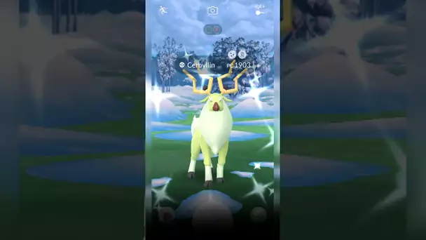 CERBYLLIN SHINY EN COMBIEN DE RAIDS SUR POKEMON GO ?