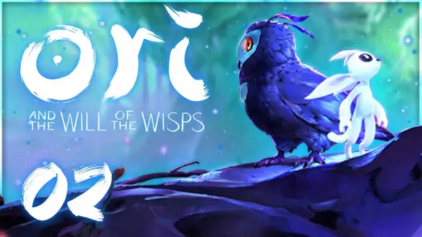 Ori and the Will of the Wisps : A la recherche de Kun ! #02