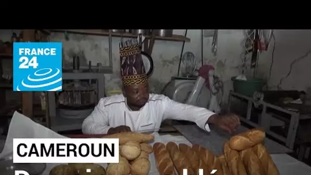 Cameroun : du pain sans blé, le pari gagnant d'un boulanger de Yaoundé • FRANCE 24