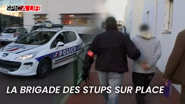 Brigade des stups : ils débarquent et ça craint pour lui