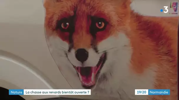 Arrêté préfectoral sur l'abattage de renards en Seine-Maritime