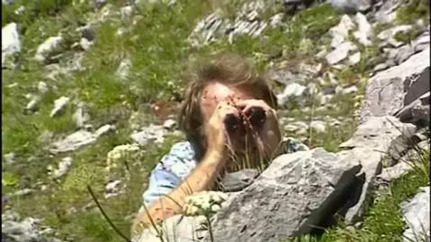 La faune et la flore en montagne (Documentaire animalier)