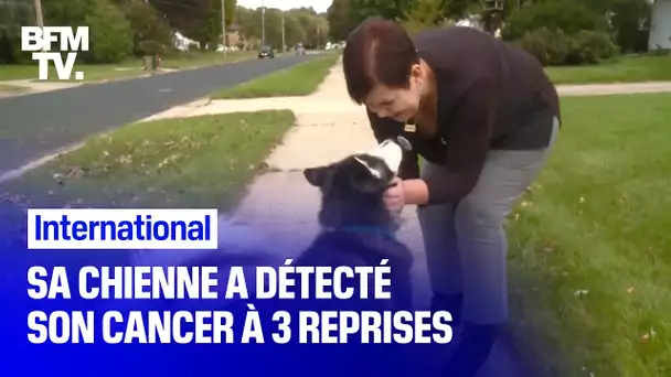 À 3 reprises, cette chienne a découvert que sa propriétaire avait un cancer