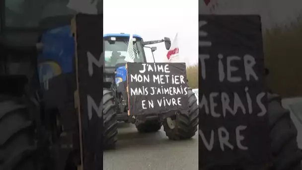 Mobilisation des agriculteurs : pourquoi sont-ils en colère ?