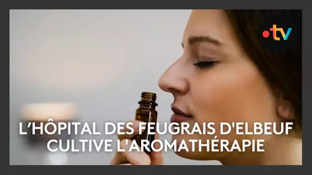 L’hôpital des Feugrais d'Elbeuf cultive l'aromathérapie