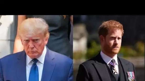 Le prince Harry a critiqué après l'intervention de Donald Trump : "Nous ne voulons pas qu'il revienn