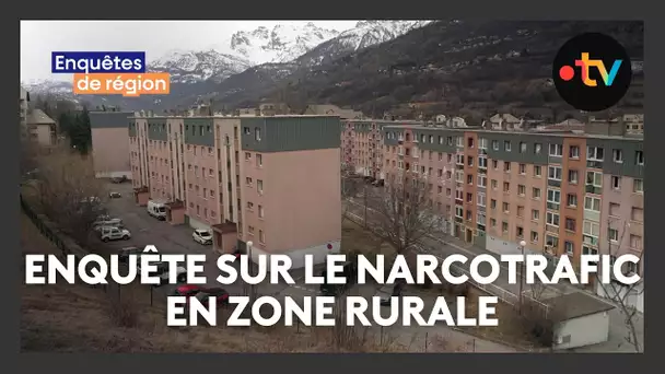 Le narcotrafic dans nos campagnes et nos montagnes en augmentation, enquête inédite en région Paca