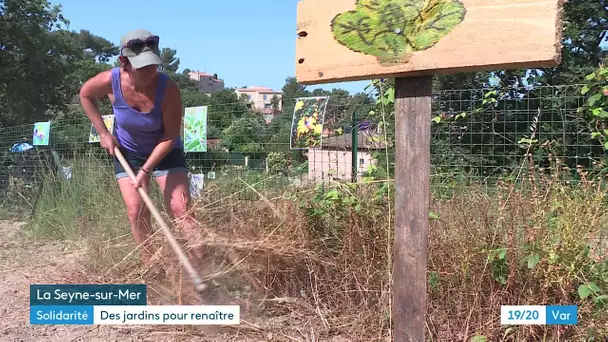 Var : des jardins partagés pour lutter contre l'exclusion