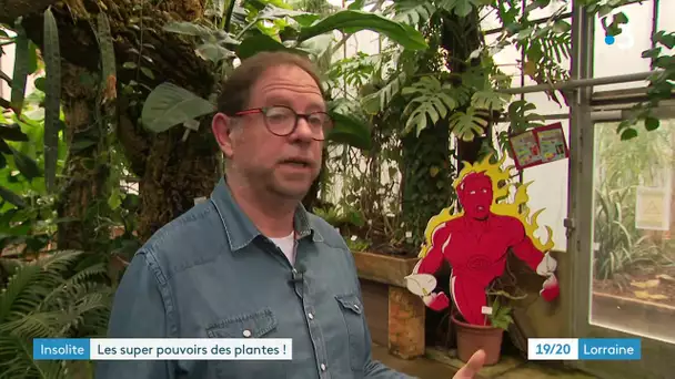 Super-Héros Super-Plantes au Jardin botanique de Nancy