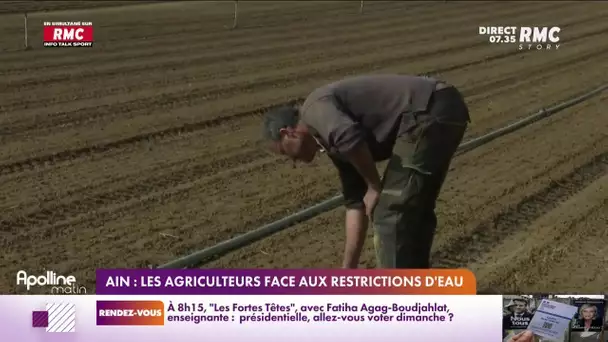 Sécheresse : dans l'Ain, les agriculteurs font face aux restrictions d'eau