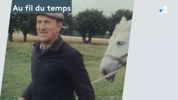 Au fil du temps : le Percheron, fierté de la Normandie. Invité Anthony Gohier.