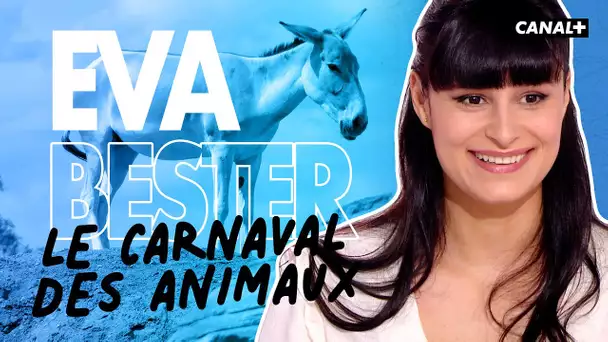 Le carnaval des animaux - Eva Bester - Clique - CANAL+