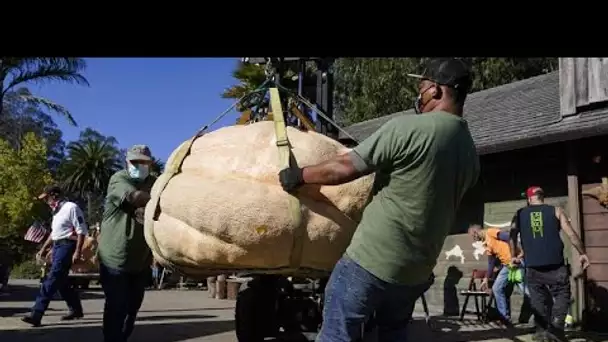 Une citrouille de plus de 900 kg couronnée aux Etats-Unis