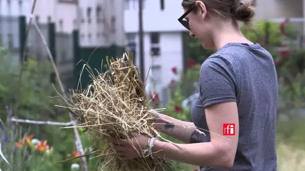 Jinjur au jardin partagé des Jeunes pouces