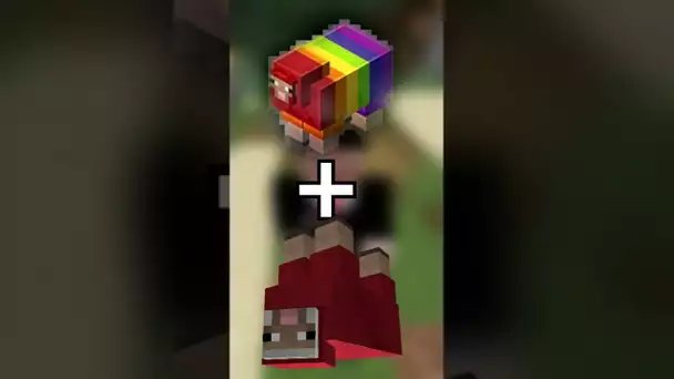 CE QU'IL SE PASSE EN ACCOUPLANT JEB_ ET DINNERBONE ! (surprenant)