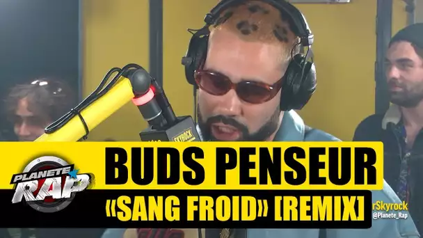 Buds Penseur "Sang froid" [Remix] #PlanèteRap