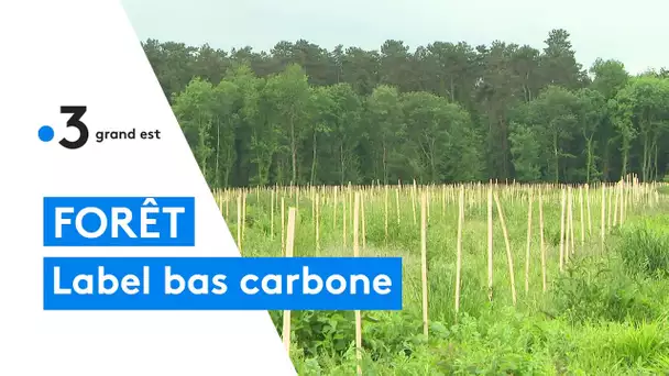 Le label bas carbone