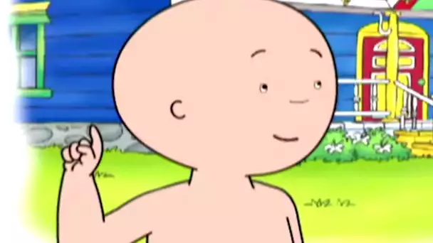 Caillou et le Volontariat | Caillou | Dessins animés pour enfants | WildBrain pour les enfants