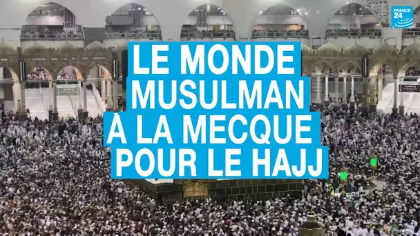 Hajj : Venue des quatre coins du monde, l'oumma se réunit à La Mecque